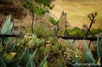 gran-canaria-15