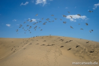 gran-canaria-38