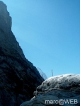 IM003390