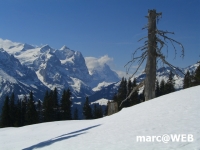 Meiringen 010.JPG