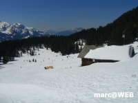 Meiringen 029.JPG