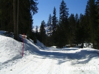 Meiringen 037.JPG