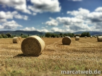 20130130-231812-Foto 05.08.12 20 19 44