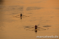 20160318-180723-018-DSC08911