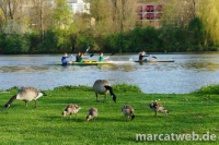 20160411-180544-DSC00875