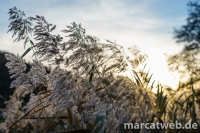 20161120-155432-DSC05995