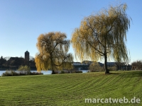 20161129-133800-IMG_0445