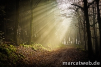 20161231-114158-DSC06290