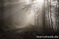 20161231-114704-DSC06314