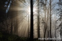 20161231-115226-DSC06330