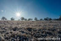 20170101-134035-DSC06479