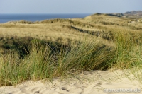 holland-12
