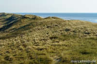 holland-14