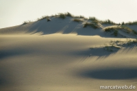 holland-19