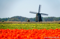 holland-25