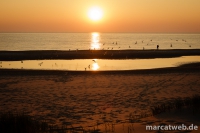 holland-44