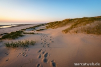 holland-46