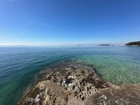 IMG_5159