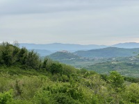 IMG_5185