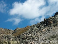 Joeriseen__4_