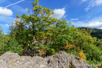 Karlsruher Grat-30