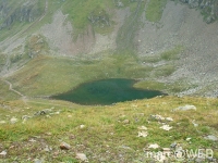 IM006354