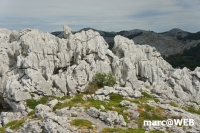 kroatien (30).JPG