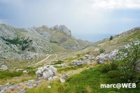 kroatien (31).JPG