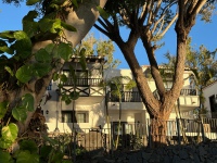 20250109-084058-IMG_8915