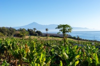 20250109-094708-DSC05968