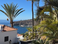 20250109-115441-IMG_8933