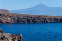 20250109-123715-DSC05986