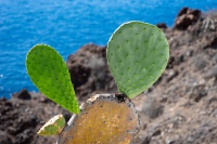 20250109-130031-DSC05996