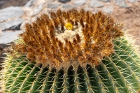 20250109-130048-DSC05997