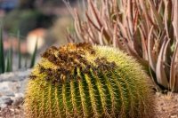 20250109-130220-DSC06005