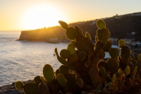 20250109-181537-DSC06042