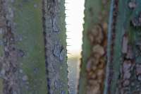 20250109-181632-DSC06048