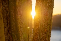 20250109-181700-DSC06051