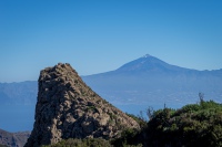 20250110-120807-DSC06065