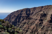 20250110-124407-DSC06072