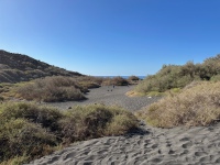 20250110-150412-IMG_8961