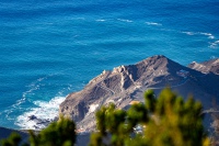 20250110-165416-DSC06083