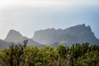 20250110-165437-DSC06085