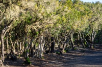 20250110-170035-DSC06093