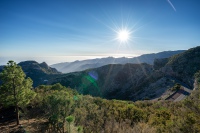 20250112-172911-DSC06186