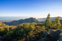 20250112-175734-DSC06196