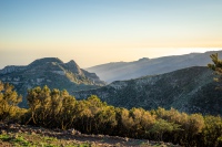 20250112-180037-DSC06204