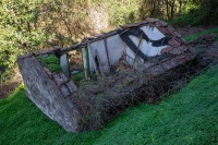 20250115-114123-DSC06219