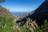 20250115-120421-DSC06225