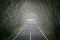 20250115-155011-DSC06246